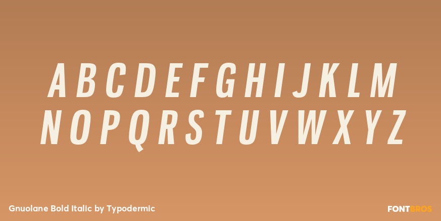 Gnuolane Bold Italic Font Poster #2