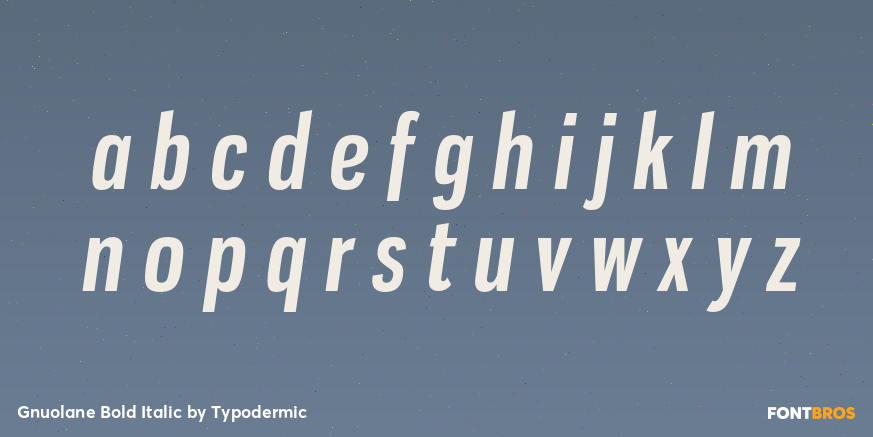 Gnuolane Bold Italic Font Poster #3