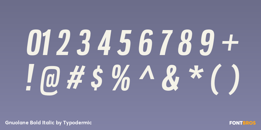 Gnuolane Bold Italic Font Poster #4