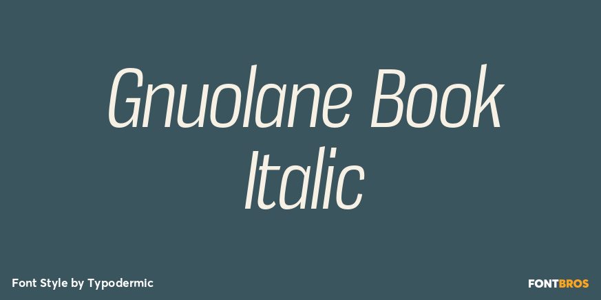 Gnuolane Book Italic Font Poster #1
