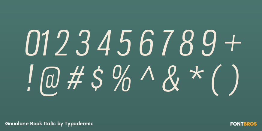 Gnuolane Book Italic Font Poster #1