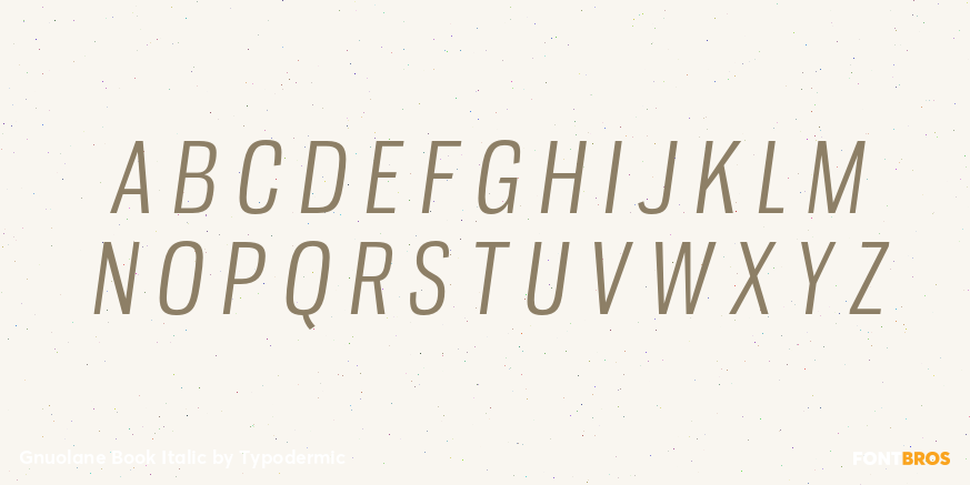 Gnuolane Book Italic Font Poster #1