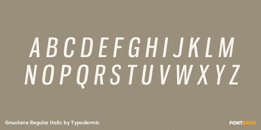 Gnuolane Regular Italic Font Poster #2