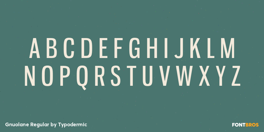 Gnuolane Regular Font Poster #2