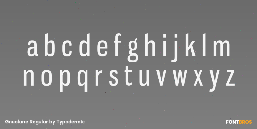Gnuolane Regular Font Poster #3