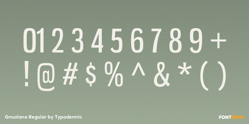 Gnuolane Regular Font Poster #4