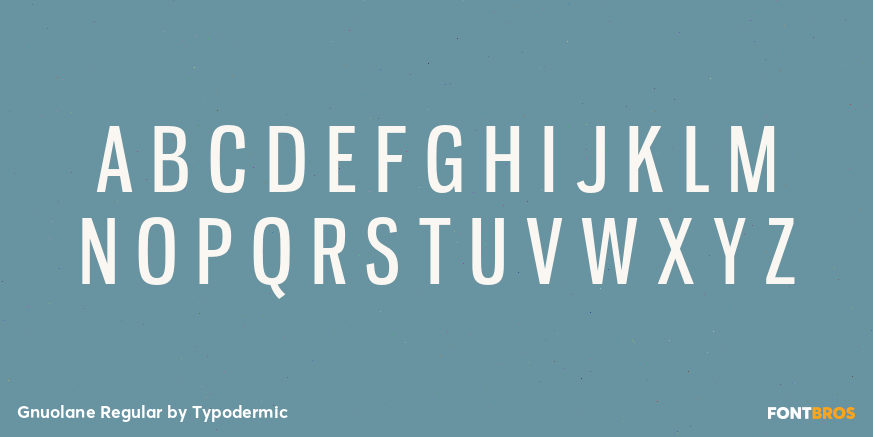 Gnuolane Regular Font Poster #1