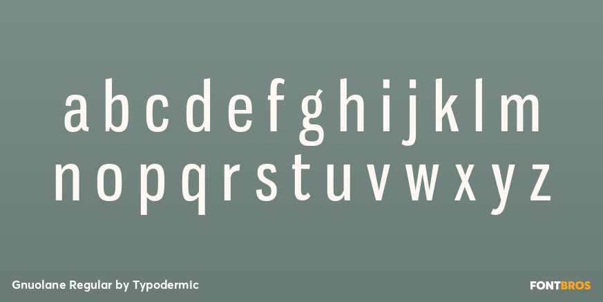 Gnuolane Regular Font Poster #1