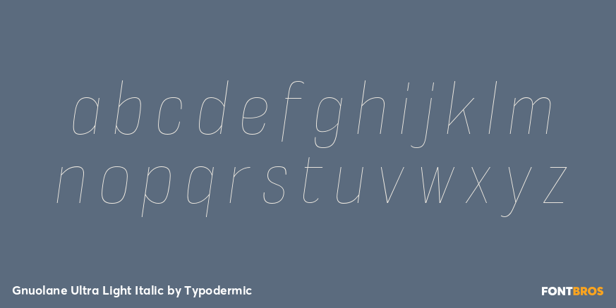 Gnuolane Ultra Light Italic Font Poster #3