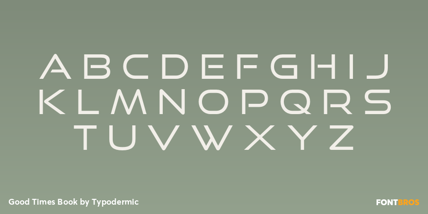 Good Times Book Font Poster #3