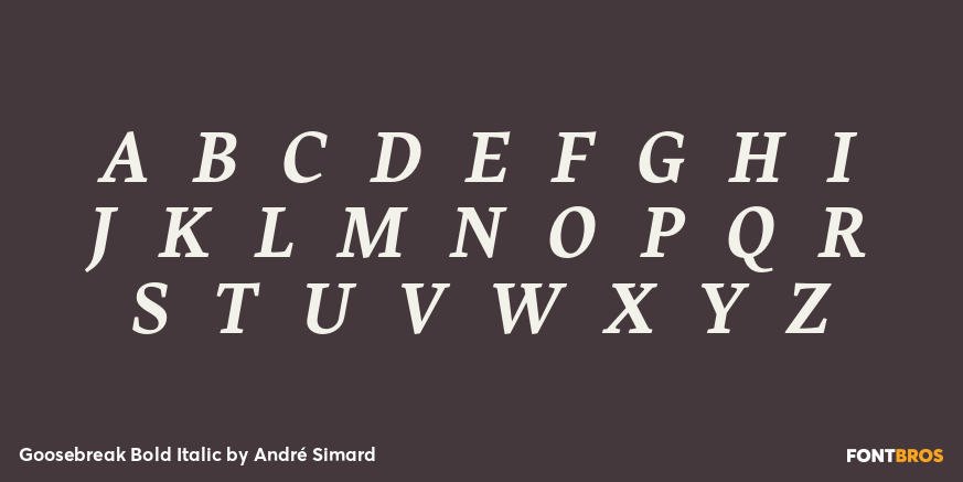 Goosebreak Bold Italic Font Poster #1