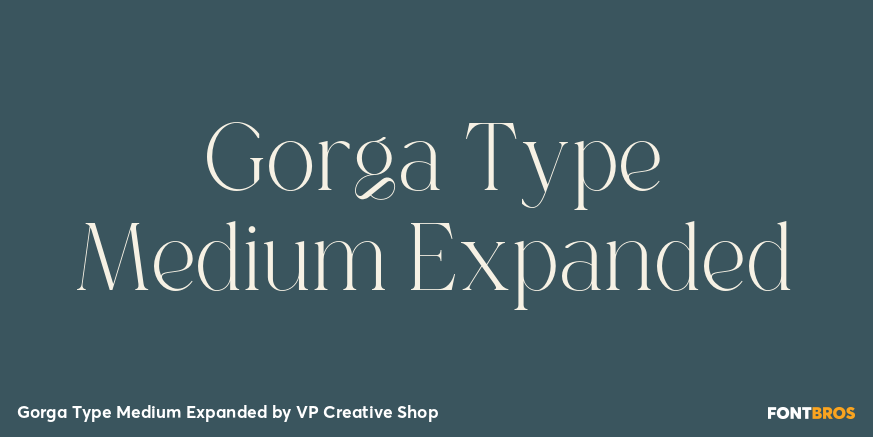 Gorga Type Medium Expanded Poster