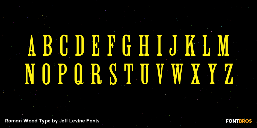 Roman Wood Type Font Poster #2