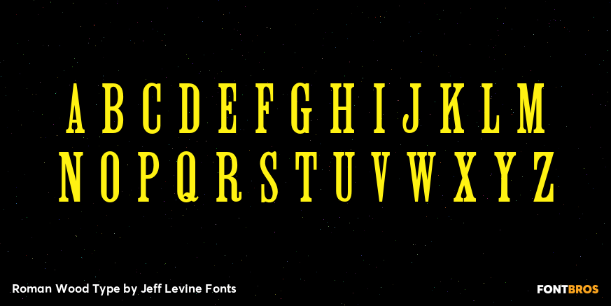 Roman Wood Type Font Poster #3