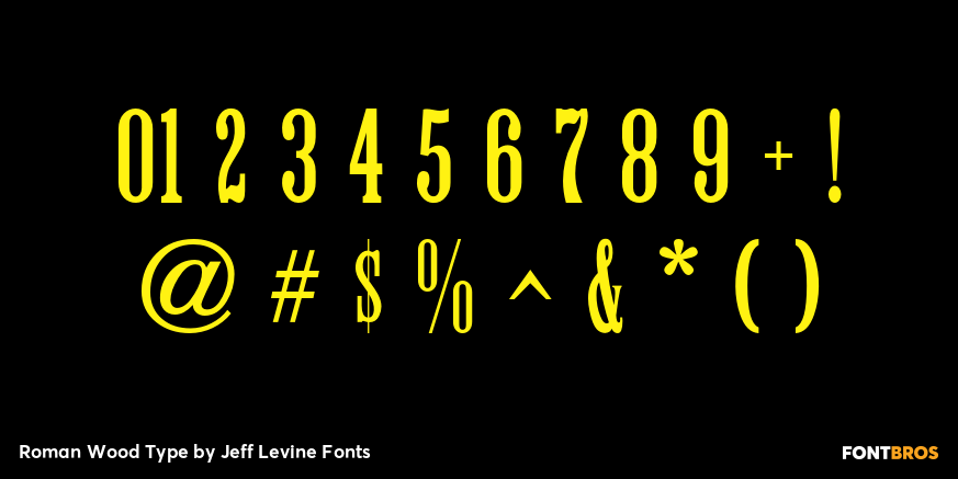 Roman Wood Type Font Poster #4