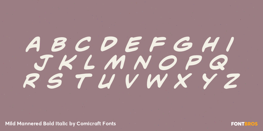 Mild Mannered Bold Italic Font Poster #2