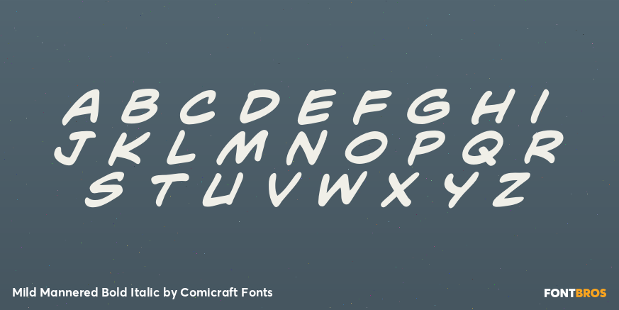 Mild Mannered Bold Italic Font Poster #3