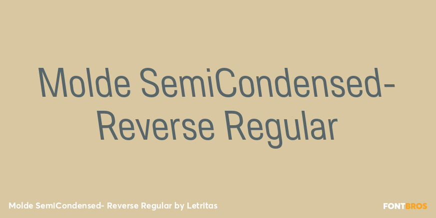 Molde SemiCondensed- Reverse Regular Font Poster #1