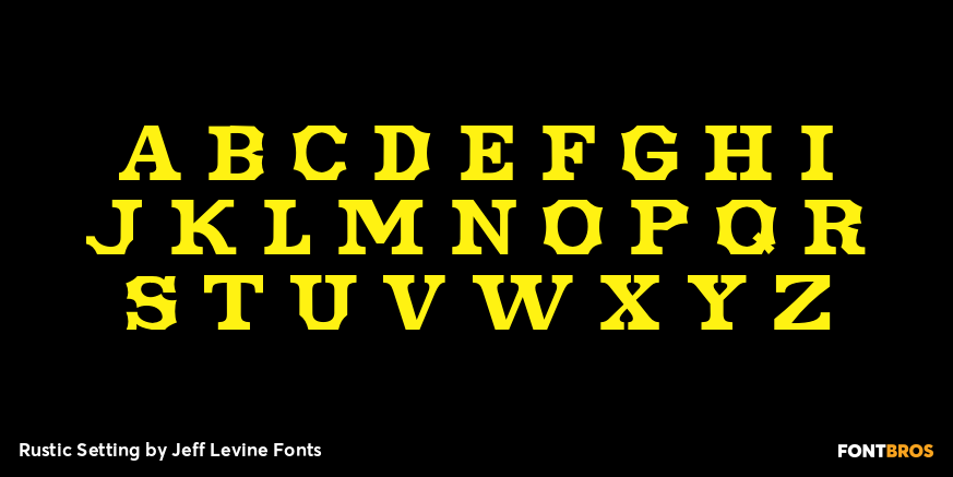 Rustic Setting Font Poster #3