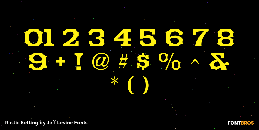 Rustic Setting Font Poster #4