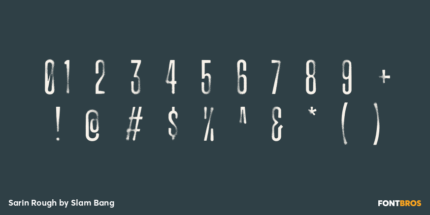 Sarin Rough Font Poster #4