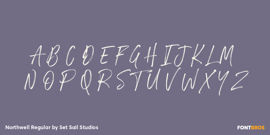 Northwell Regular Font Poster #2