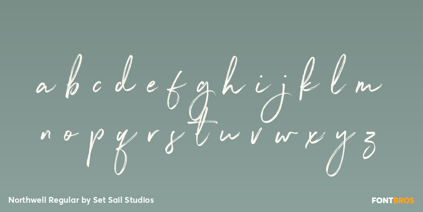 Northwell Regular Font Poster #3