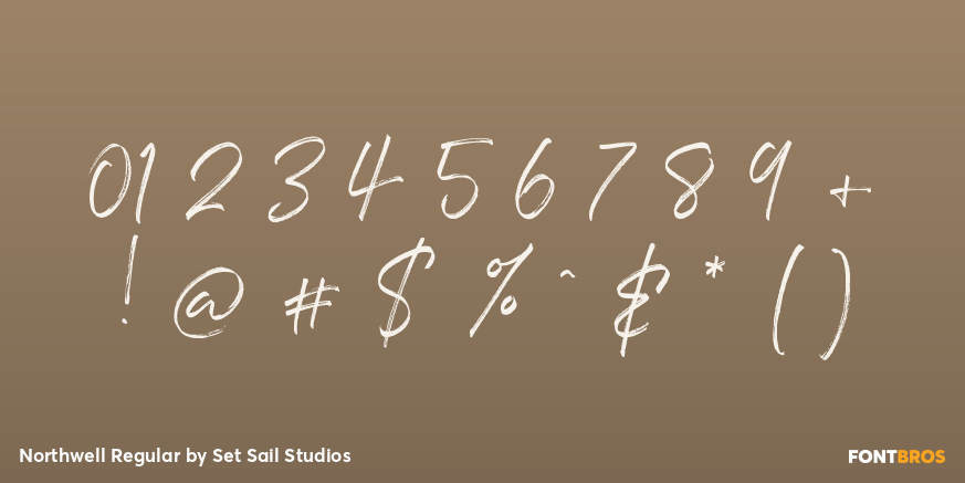 Northwell Regular Font Poster #4