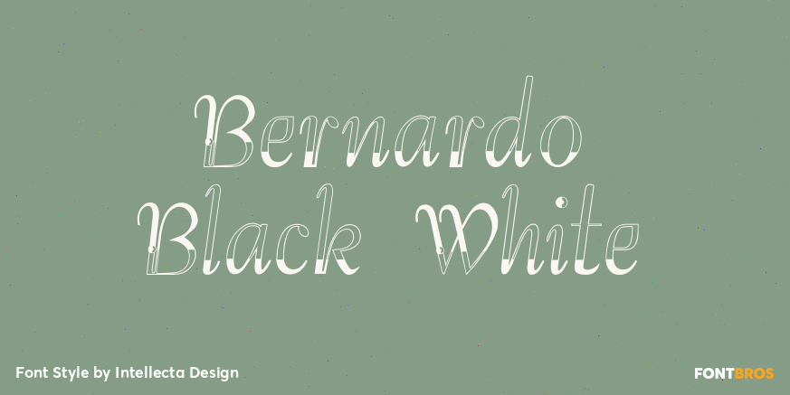Bernardo Black White Poster