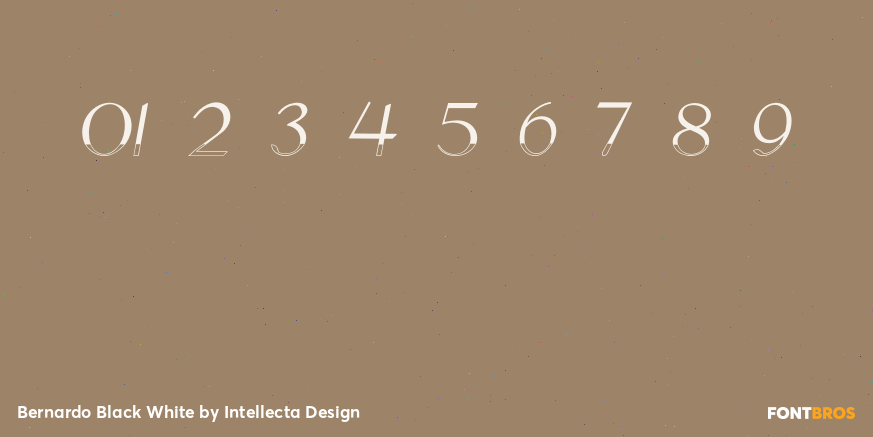Bernardo Black White Font Poster #4