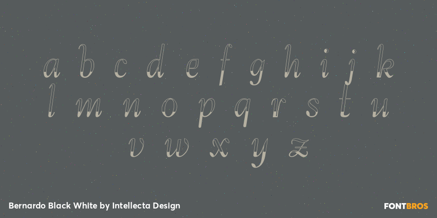 Bernardo Black White Font Poster #1