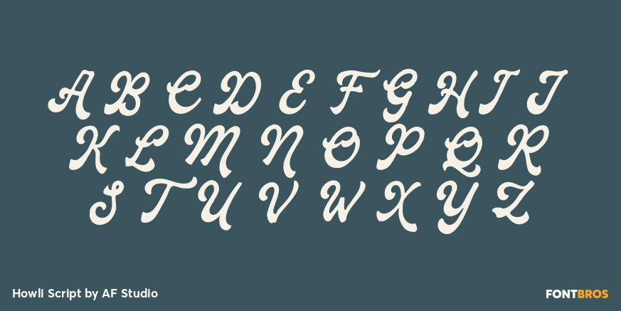 Howli Script Font Poster #2
