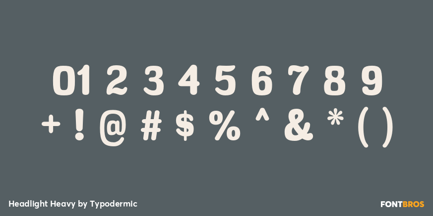 Headlight Heavy Font Poster #4