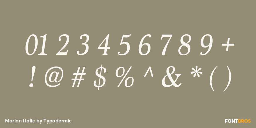Marion Italic Font Poster #1