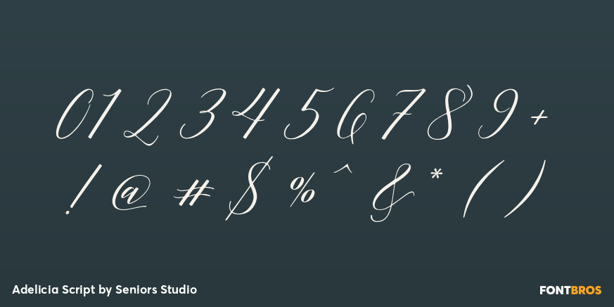 Adelicia Script Font Poster #1