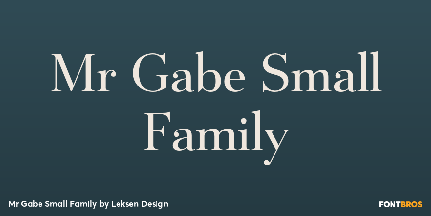 Mr Gabe Small Family Font Poster #1