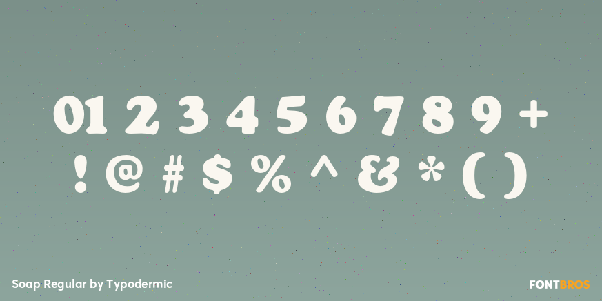 Soap Regular Font Poster #4