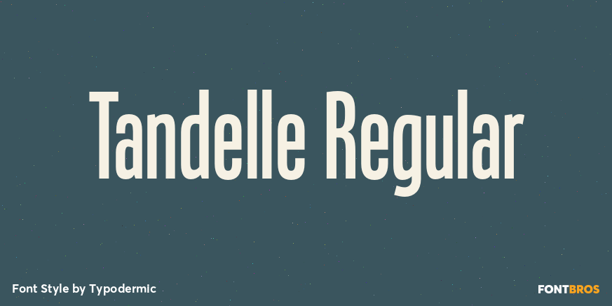 Tandelle Regular Font Poster #1