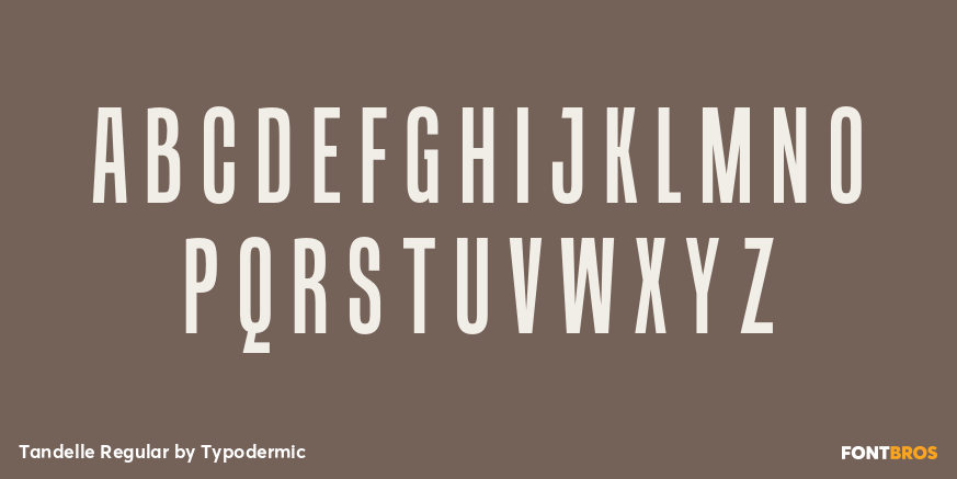 Tandelle Regular Font Poster #1