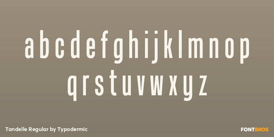 Tandelle Regular Font Poster #1