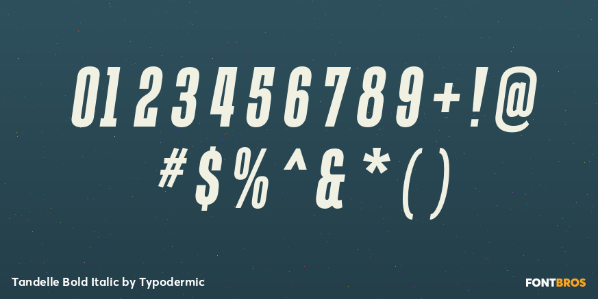 Tandelle Bold Italic Font Poster #4
