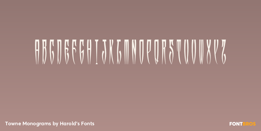 Towne Monograms Font Poster #2