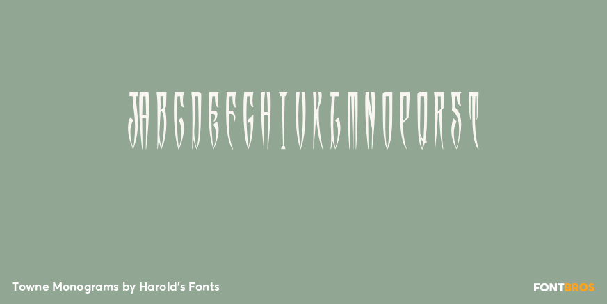 Towne Monograms Font Poster #4