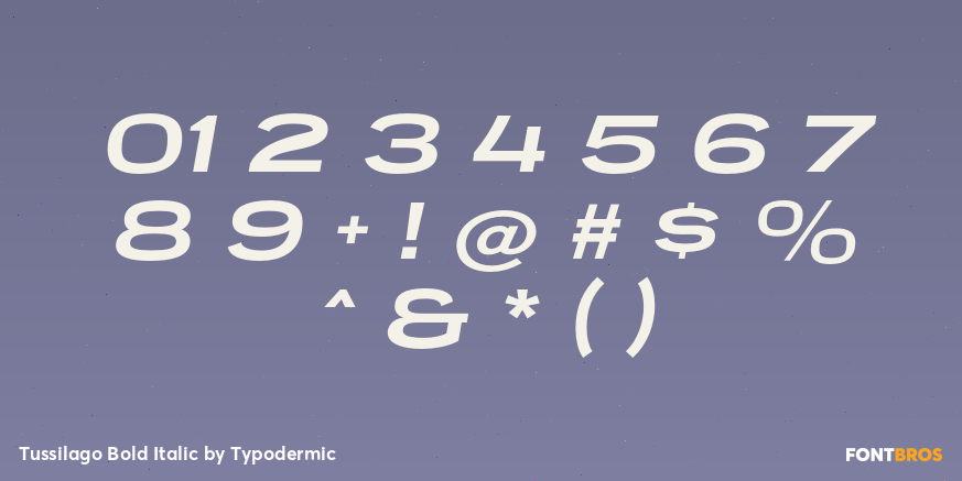 Tussilago Bold Italic Font Poster #1