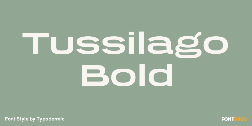 Tussilago Bold Font Poster #1