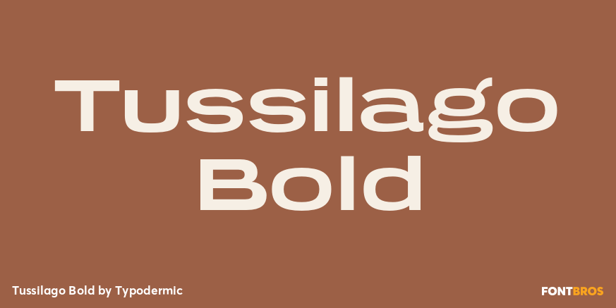 Tussilago Bold Font Poster #1