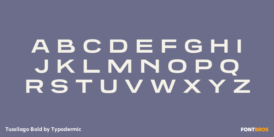 Tussilago Bold Font Poster #1