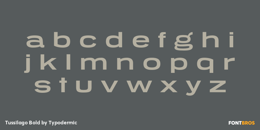 Tussilago Bold Font Poster #1