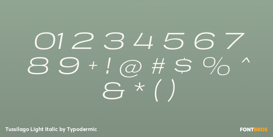 Tussilago Light Italic Font Poster #4