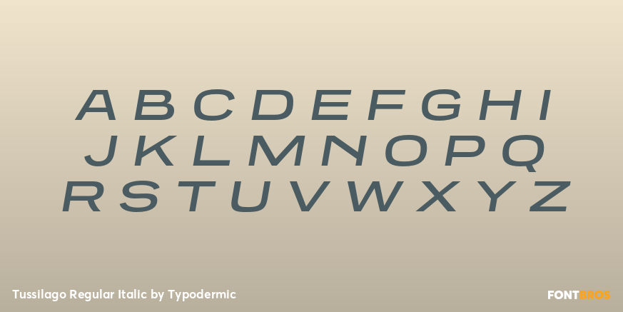 Tussilago Regular Italic Font Poster #2